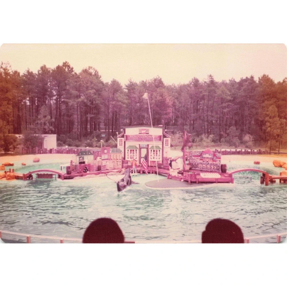 Vintage 1970s Six Flags Great Adventure Orca Water-Ski Show Photo Lot of 11 - Picture 7 of 11